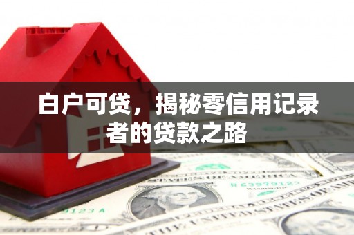 二水白户可贷，揭秘零信用记录者的贷款之路