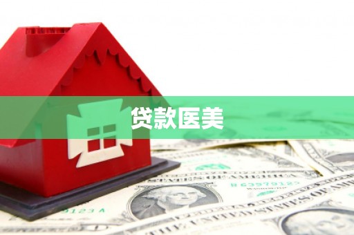 二水贷款医美