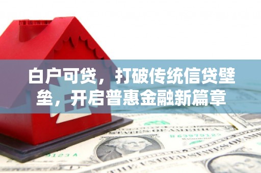 二水白户可贷，打破传统信贷壁垒，开启普惠金融新篇章