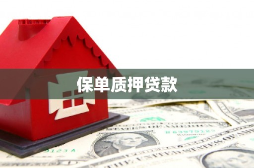 二水保单质押贷款