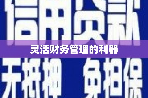 二水灵活财务管理的利器