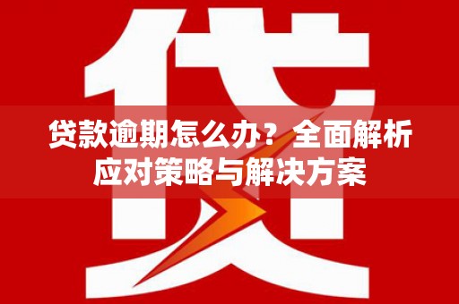 二水贷款逾期怎么办？全面解析应对策略与解决方案