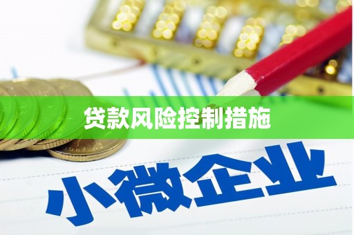 二水贷款风险控制措施