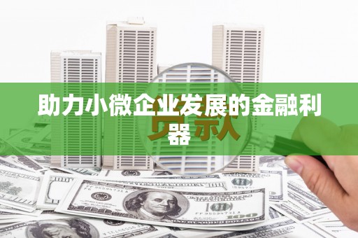 二水助力小微企业发展的金融利器