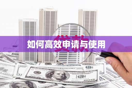 二水如何高效申请与使用
