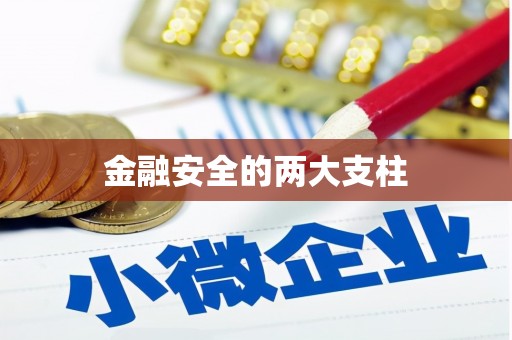 二水金融安全的两大支柱