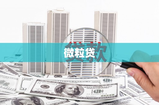 二水微粒贷