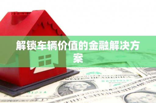 二水解锁车辆价值的金融解决方案