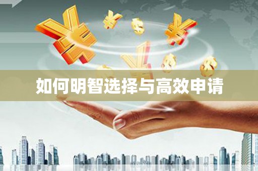 二水如何明智选择与高效申请