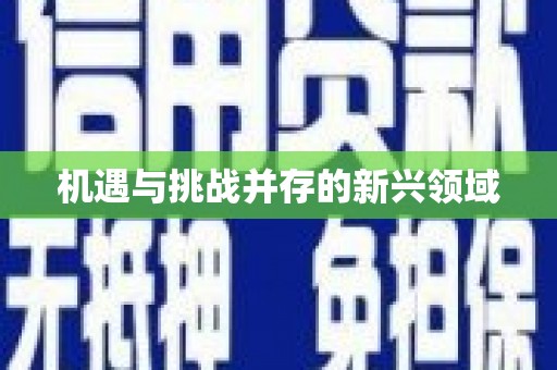 二水机遇与挑战并存的新兴领域
