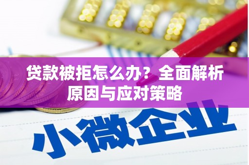 二水贷款被拒怎么办？全面解析原因与应对策略