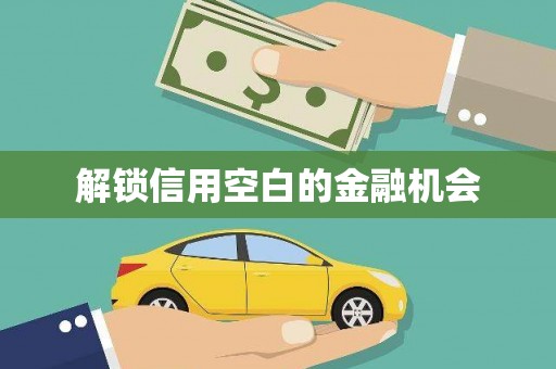 二水解锁信用空白的金融机会