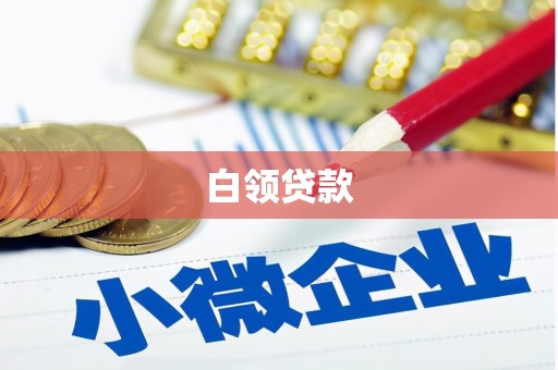 二水白领贷款