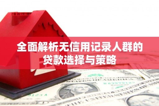 二水全面解析无信用记录人群的贷款选择与策略