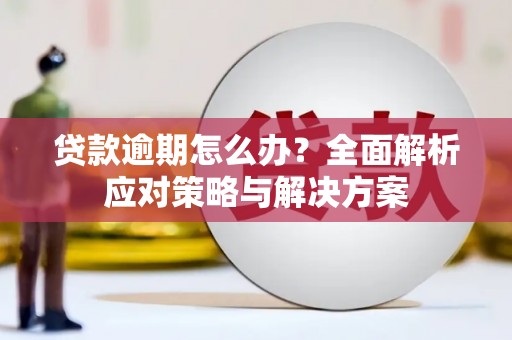 二水贷款逾期怎么办？全面解析应对策略与解决方案