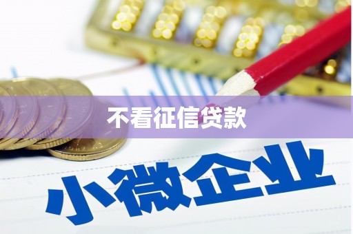 二水不看征信贷款