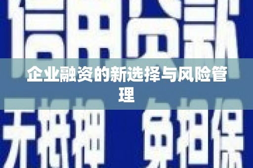 二水企业融资的新选择与风险管理