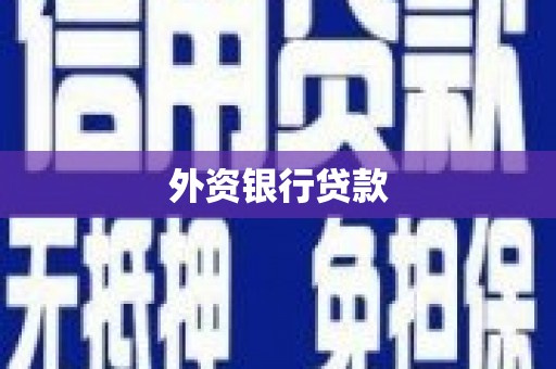 二水外资银行贷款