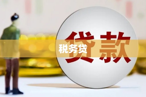 二水税务贷