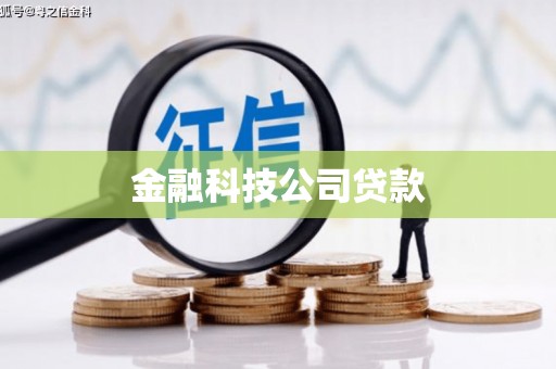 二水金融科技公司贷款