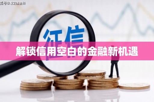 二水解锁信用空白的金融新机遇