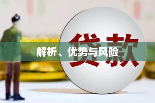 二水解析、优势与风险