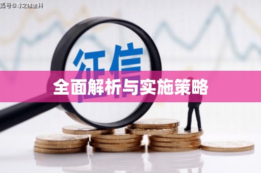 二水全面解析与实施策略