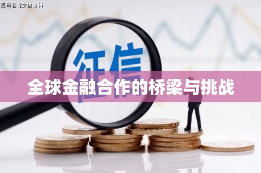 二水全球金融合作的桥梁与挑战