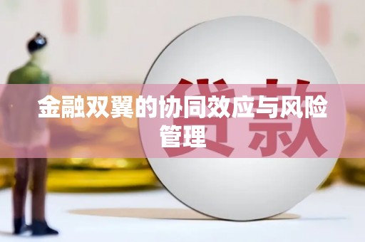 二水金融双翼的协同效应与风险管理