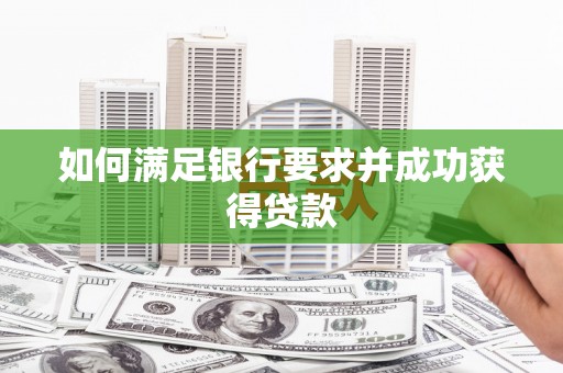 二水如何满足银行要求并成功获得贷款