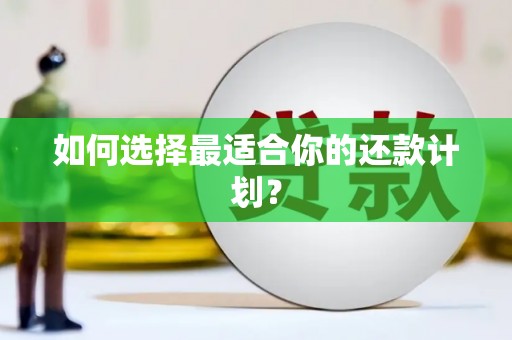 二水如何选择最适合你的还款计划？