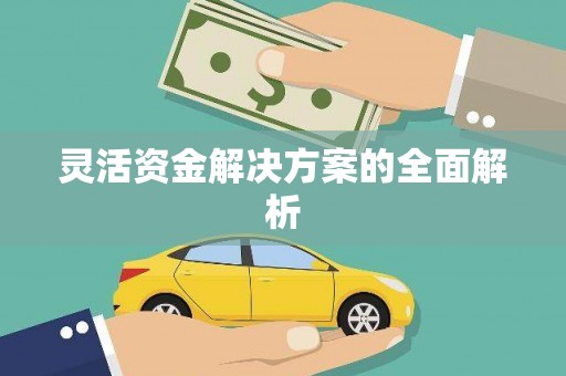 二水灵活资金解决方案的全面解析