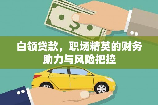 二水白领贷款，职场精英的财务助力与风险把控