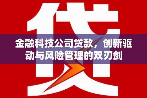 二水金融科技公司贷款，创新驱动与风险管理的双刃剑