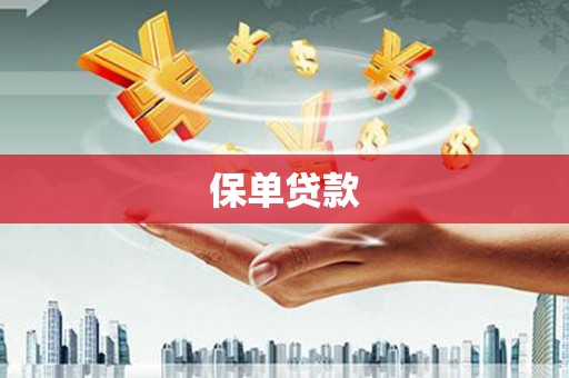 二水保单贷款